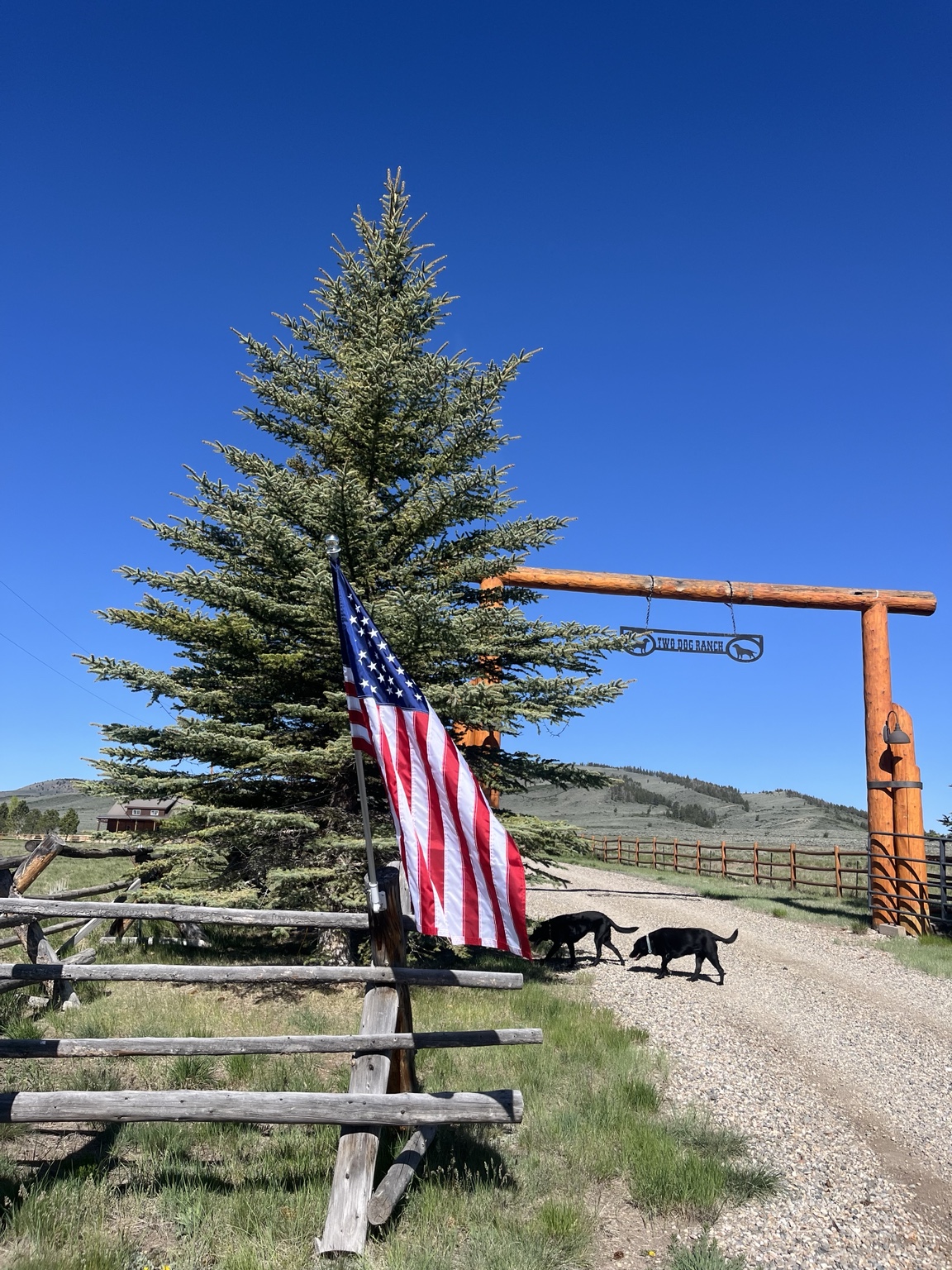 Two Dog Ranch entrance with American flag and two dogs on the driveway