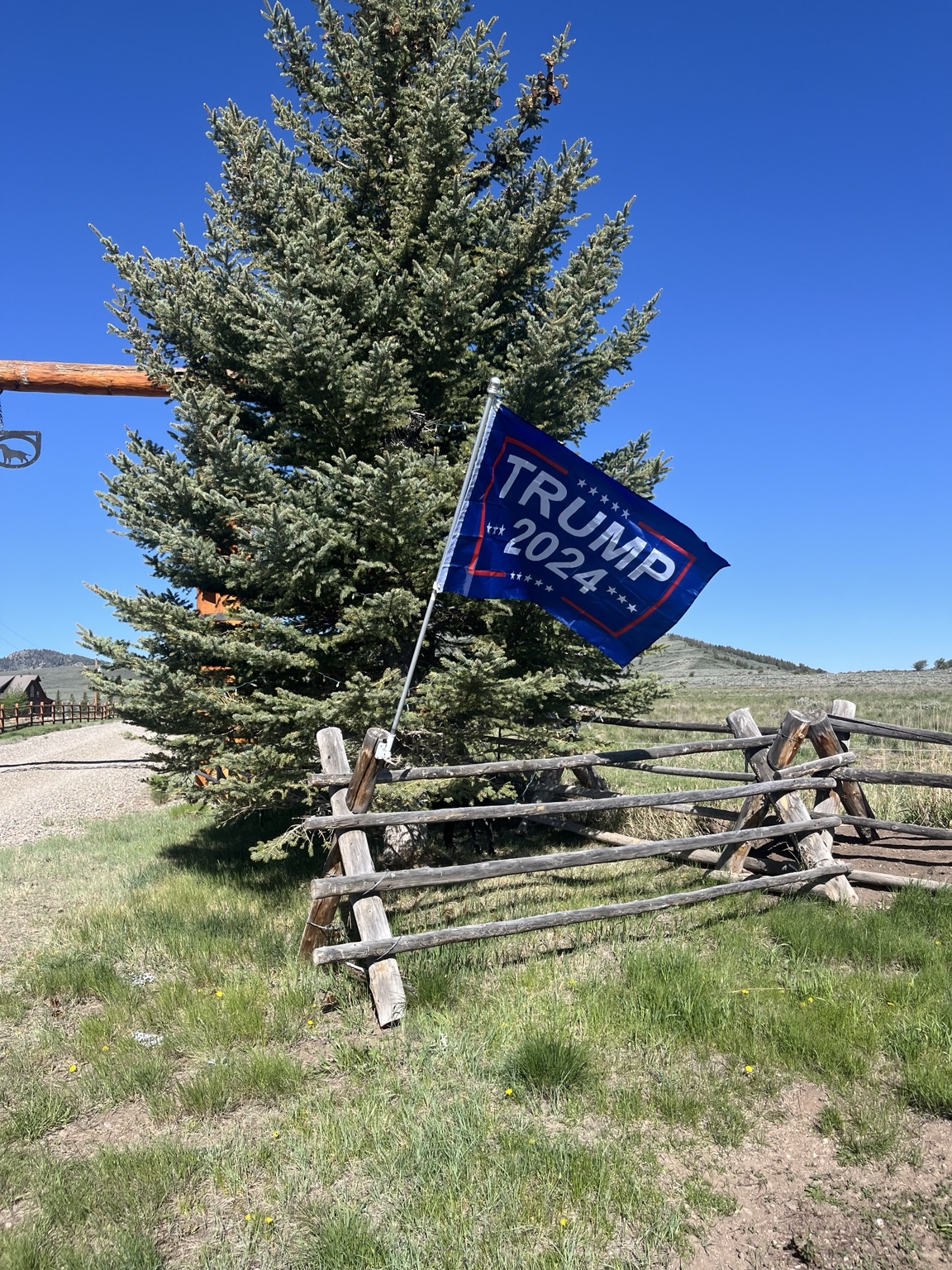 Two Dog Ranch entrance with flag near a spruce tree